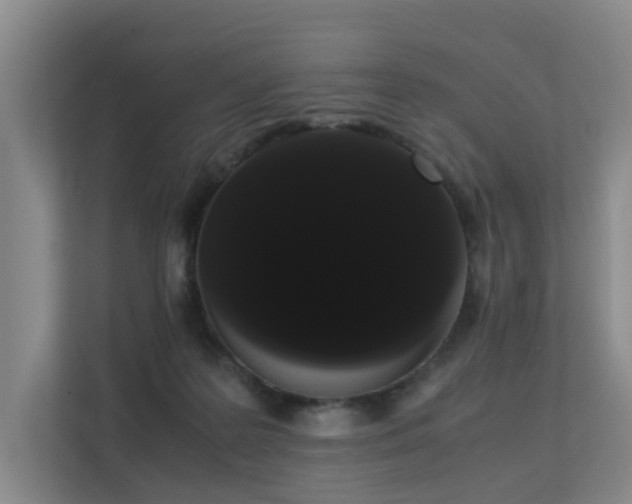 X0000113260219200909101505