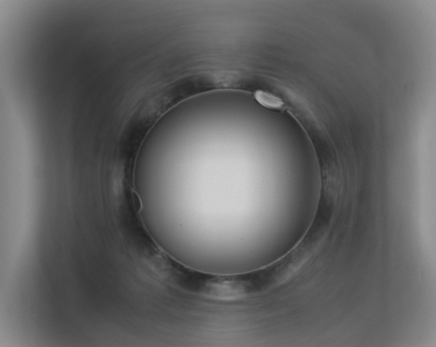 X0000113260221200909101505