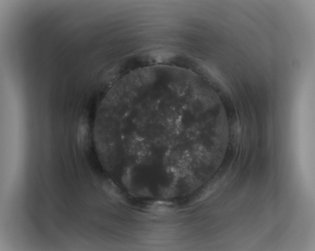 X0000113260222200909101505