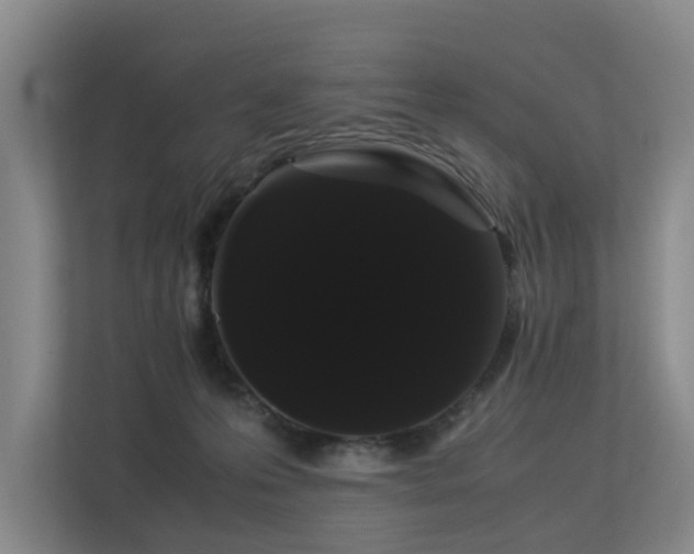 X0000113260223200909101505