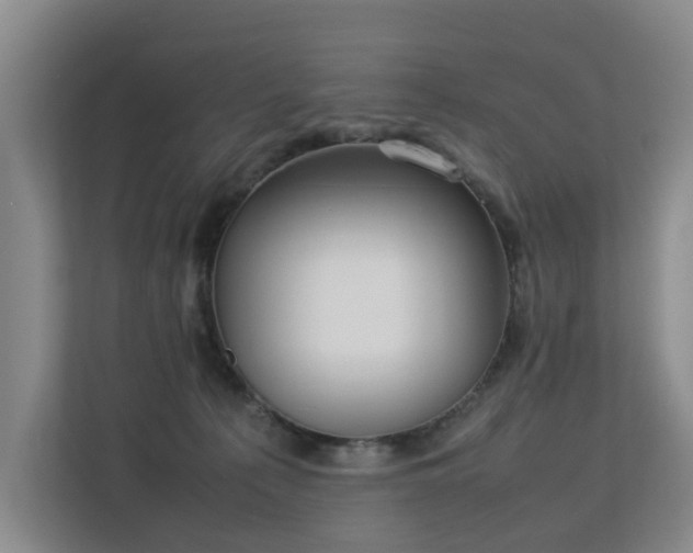 X0000113260225200909101505