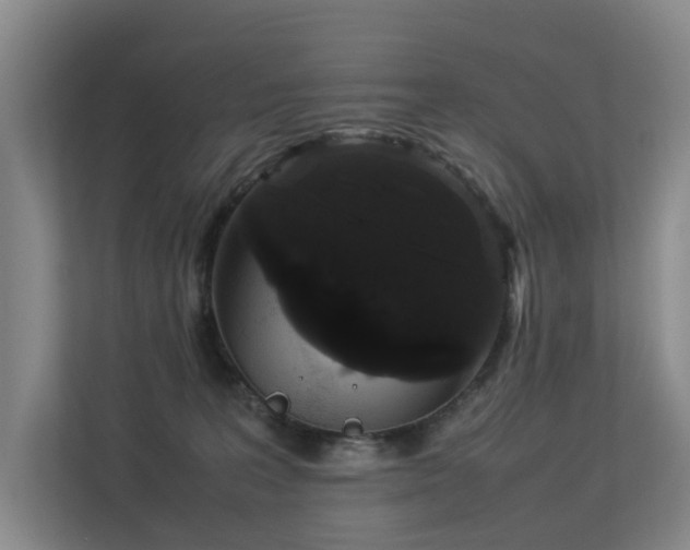 X0000113260227200909101505