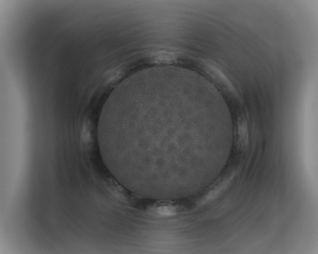 X0000113260228200909101505