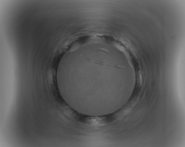 X0000113260229200909101505