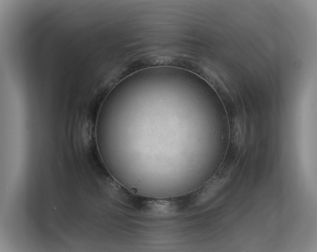 X0000113260230200909101505