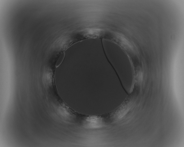 X0000113260231200909101505