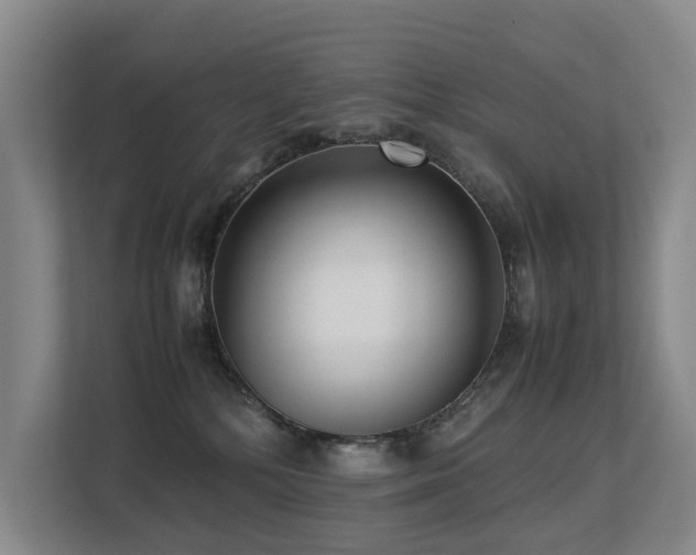 X0000113260232200909101505