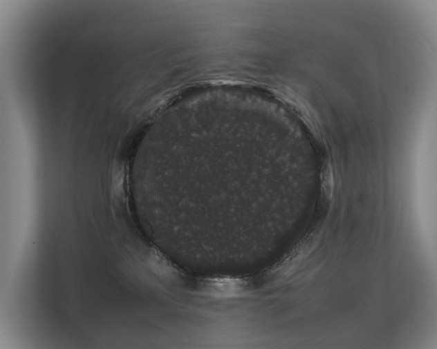 X0000113260233200909101505