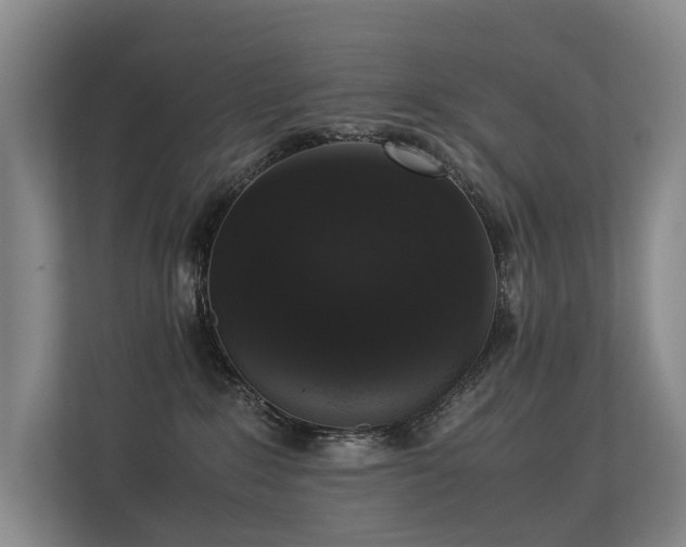 X0000113260235200909101505