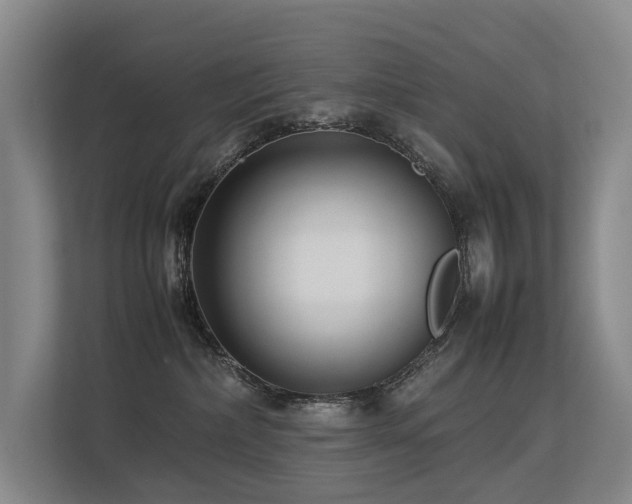 X0000113260236200909101505