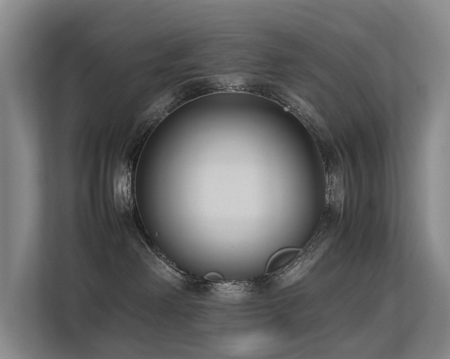 X0000113260238200909101505