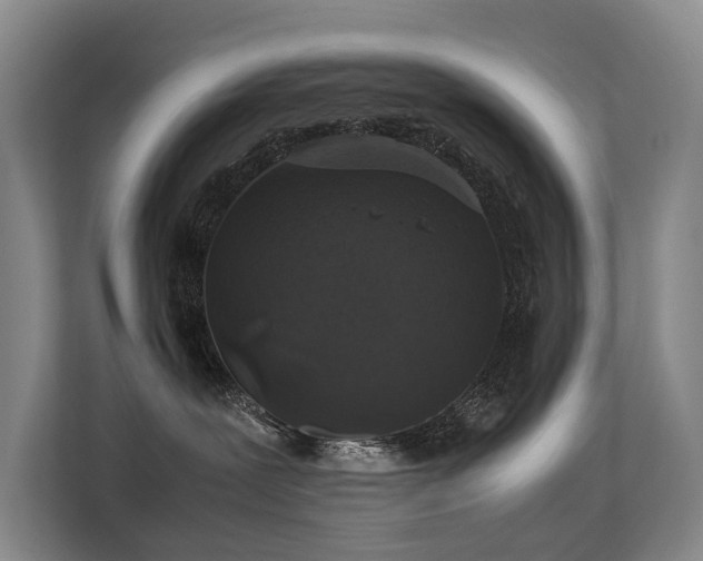 X0000113260239200909101505