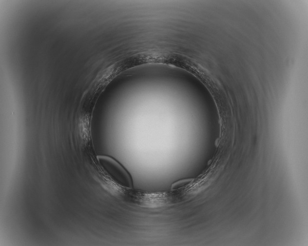 X0000113260240200909101505