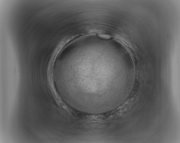 X0000113260241200909101504