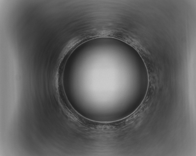 X0000113260242200909101504