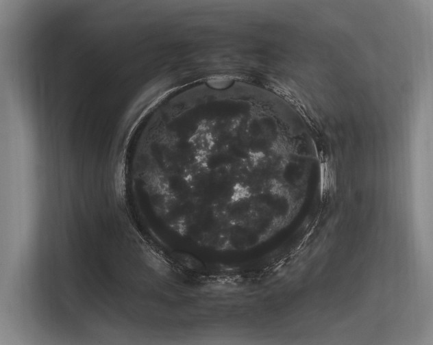 X0000113260243200909101504