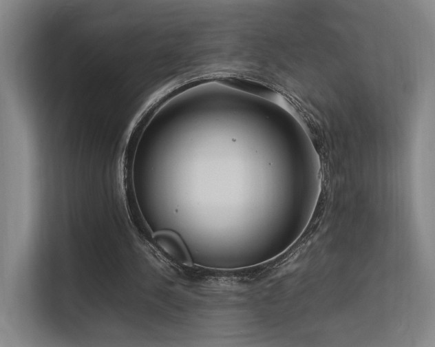 X0000113260244200909101504