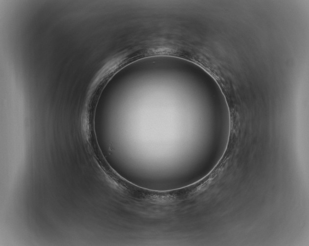 X0000113260245200909101504