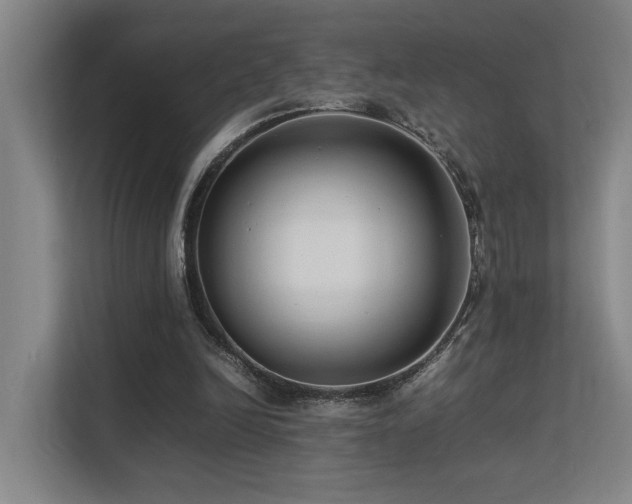 X0000113260246200909101504