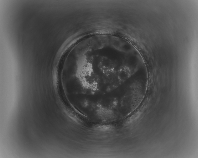 X0000113260247200909101505