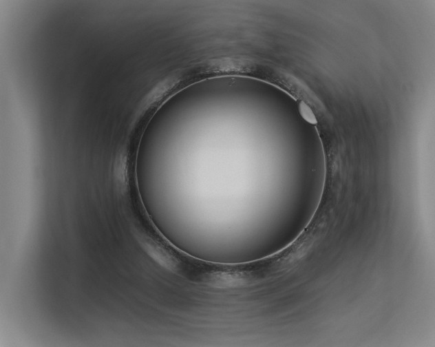 X0000113260250200909101505