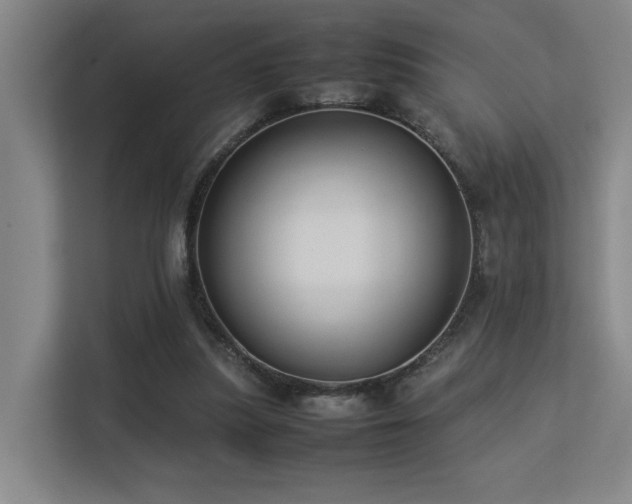 X0000113260251200909101505