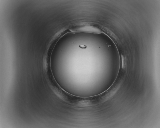 X0000113260252200909101505