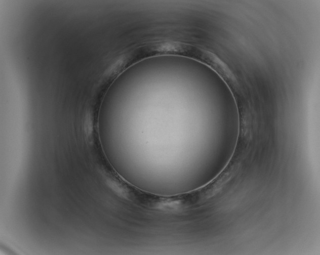 X0000113260257200909101505