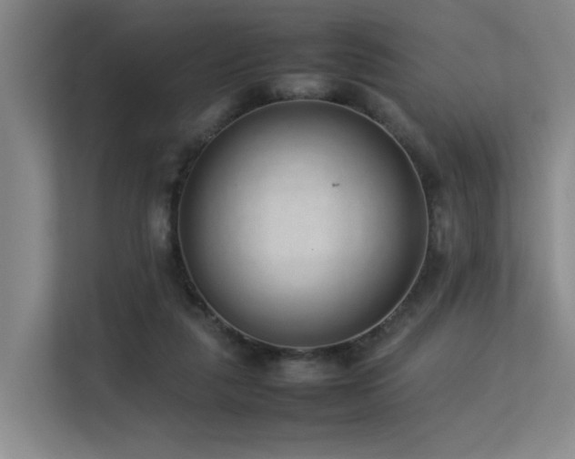 X0000113260259200909101505