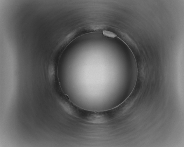 X0000113260260200909101505