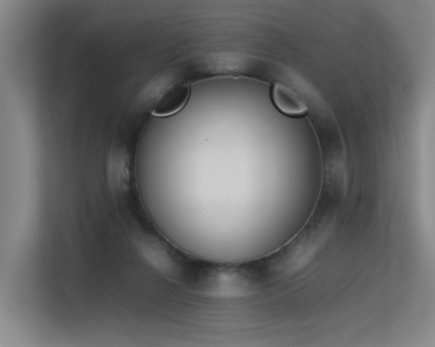 X0000113260264200909101505