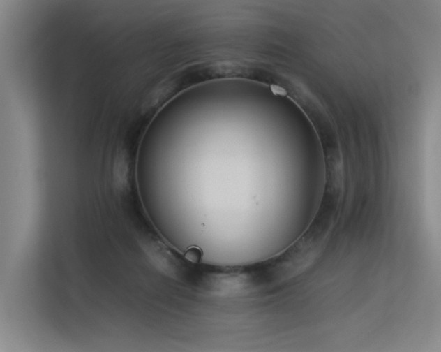 X0000113260266200909101505