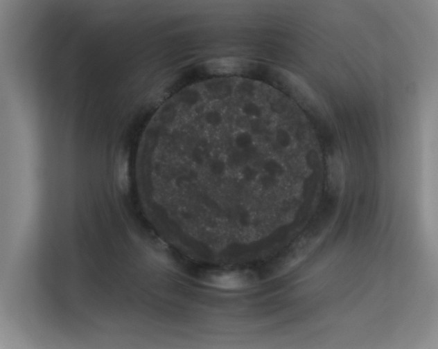 X0000113260267200909101505