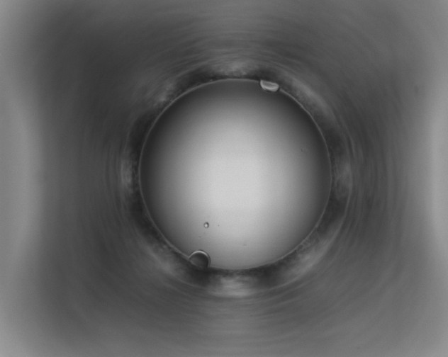 X0000113260268200909101505