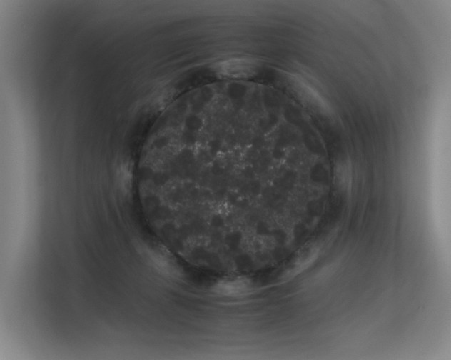 X0000113260271200909101505