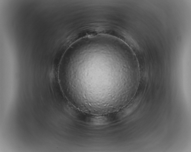 X0000113260277200909101505