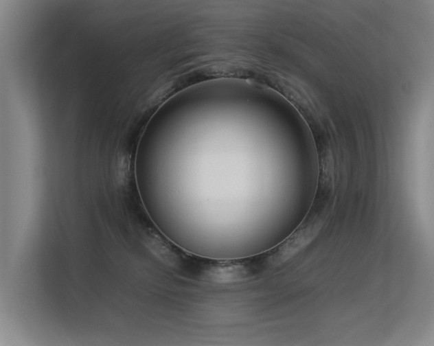 X0000113260278200909101505