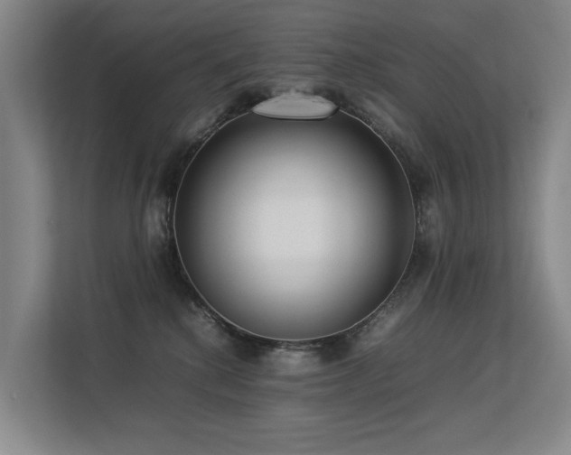 X0000113260280200909101505