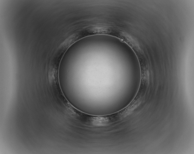 X0000113260281200909101505