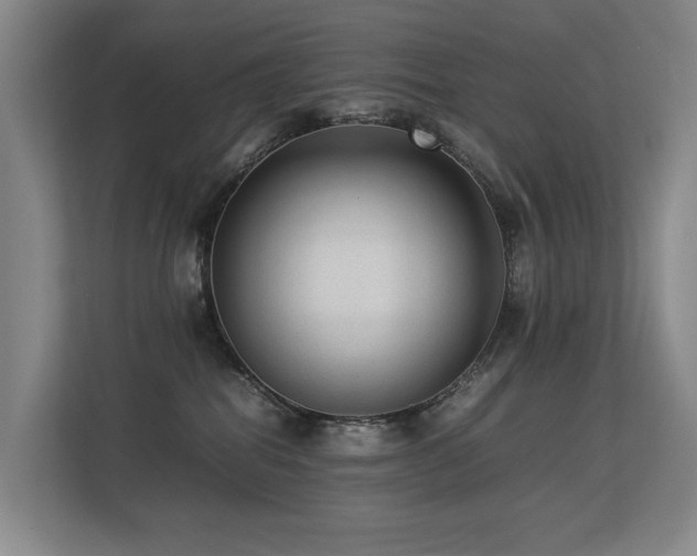 X0000113260282200909101505