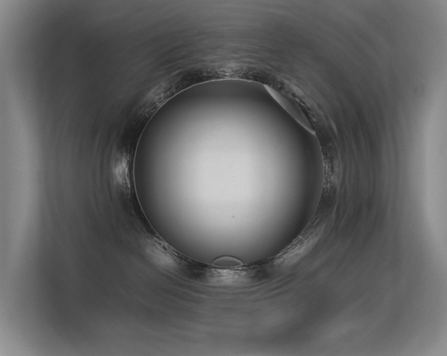 X0000113260286200909101505