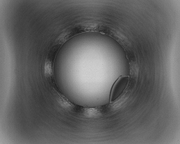 X0000113260287200909101505