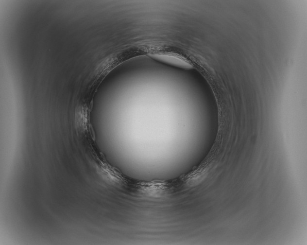 X0000113260288200909101505