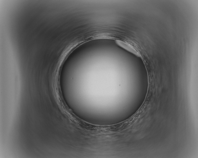 X0000113260289200909101504