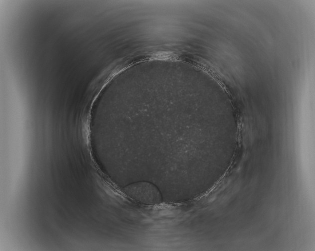 X0000113260290200909101504