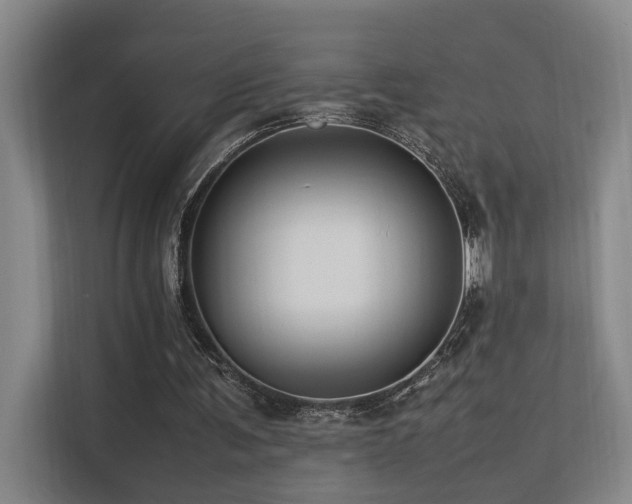 X0000113260291200909101504