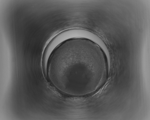 X0000113260292200909101504