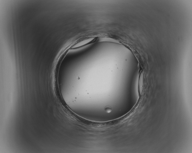 X0000113260293200909101504