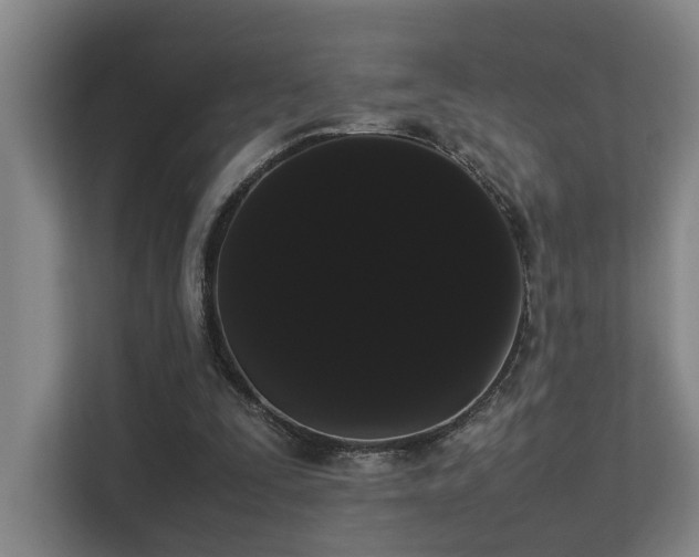 X0000113260295200909101504