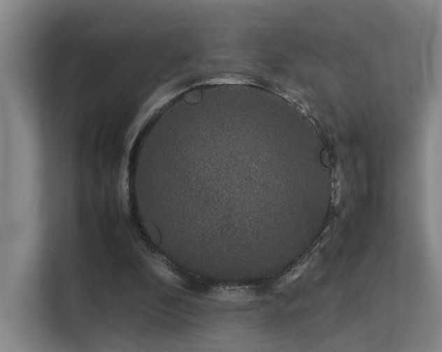 X0000113260296200909101504